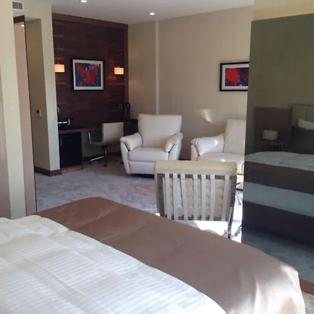 ホテル Inera Pendik 4*